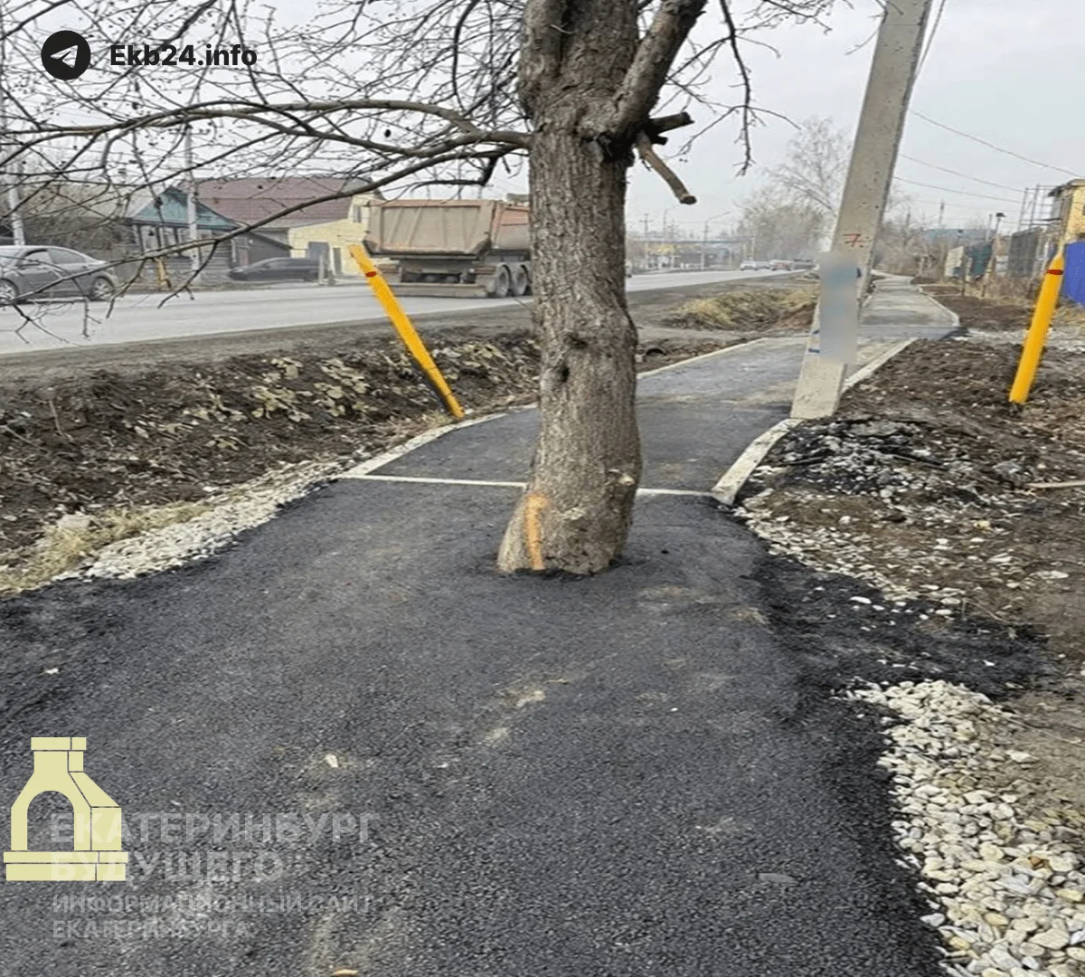 «Замуровали демоны»: дорожники закатали в асфальт дерево при ремонте тротуара