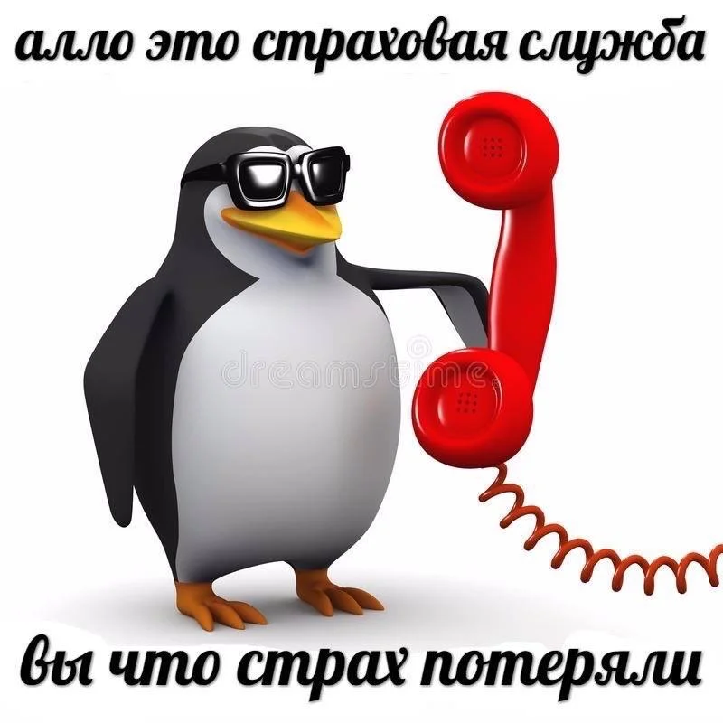 Вместо&nbsp;чистки тротуаров свердловчанам предложили ходить как&nbsp;пингвины