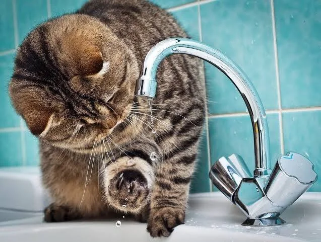 На&nbsp;Блюхера больше суток нет&nbsp;холодной воды
