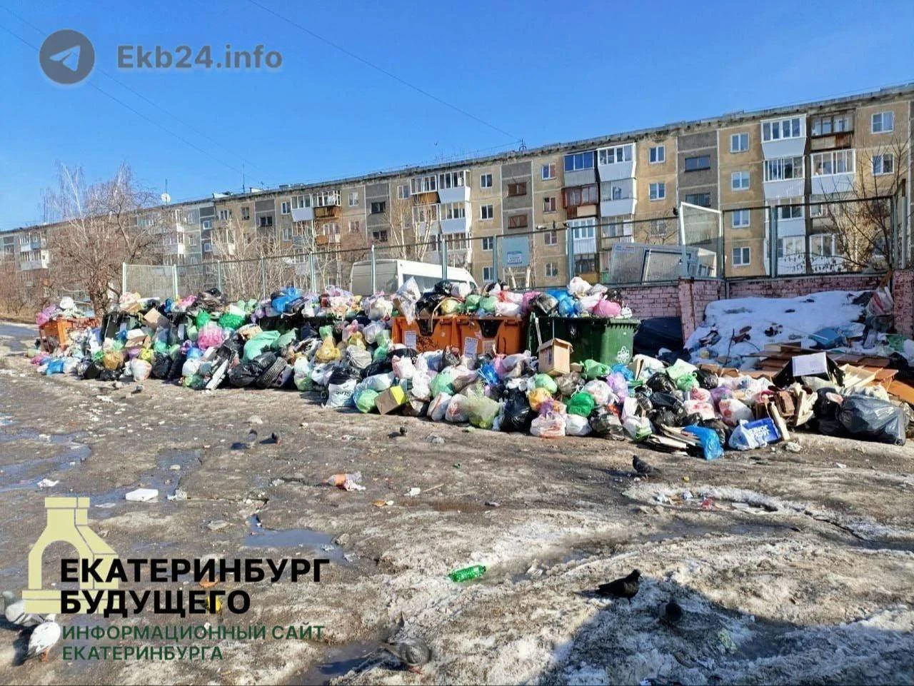 На Бородина, 9 не вывозится мусор